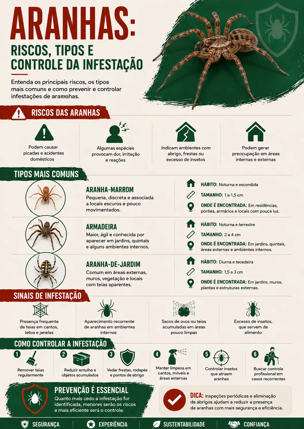 Infográfico detalhado com dicas de como evitar aranhas em cantos e depósitos