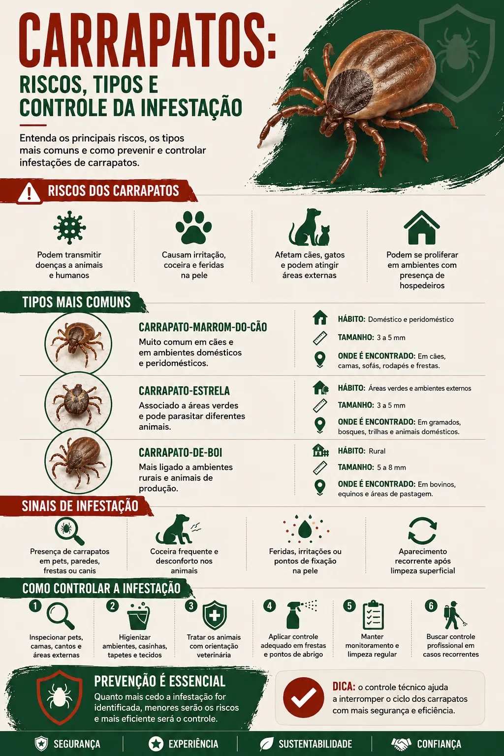 Infográfico detalhado com dicas de como evitar carrapatos em quintais e canis