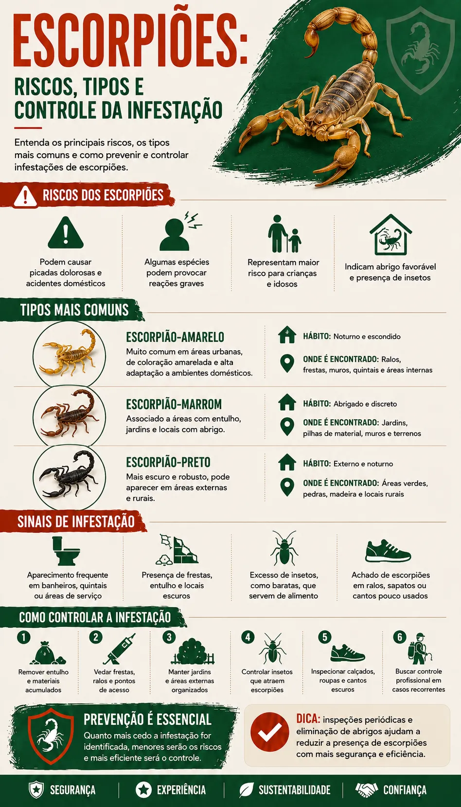 Infográfico detalhado com dicas de como evitar escorpiões no quintal e dentro de casa