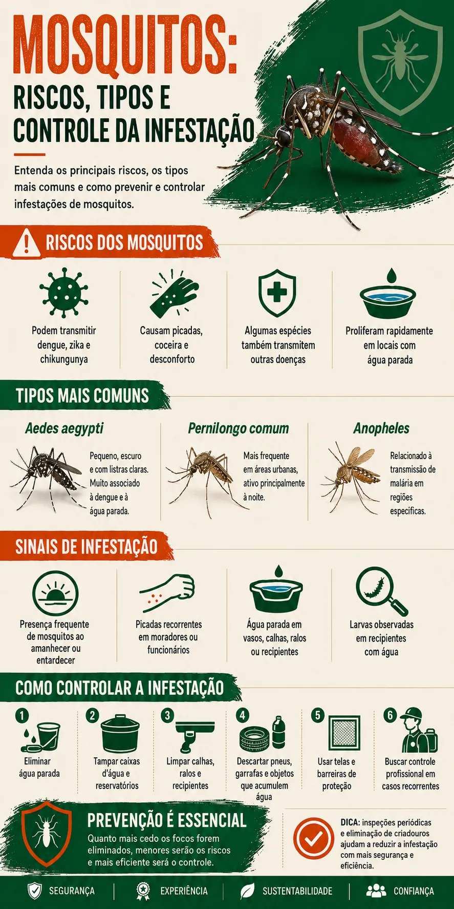 Infográfico detalhado com dicas essenciais de prevenção contra mosquitos e focos de água parada